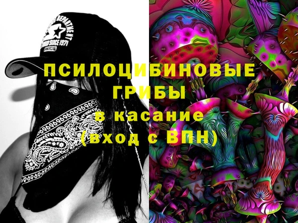 ECSTASY Аркадак