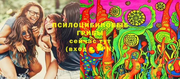 трава Арсеньев