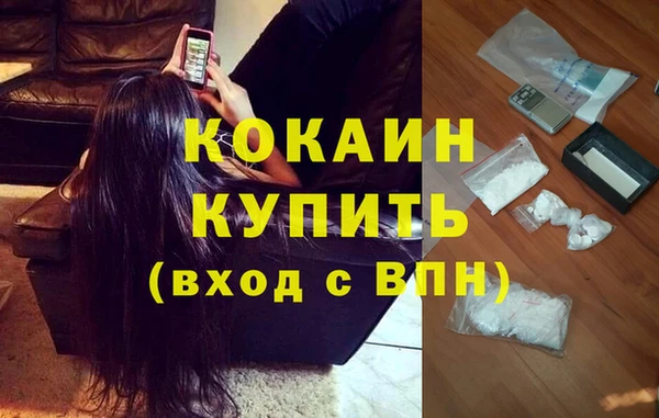 трава Арсеньев