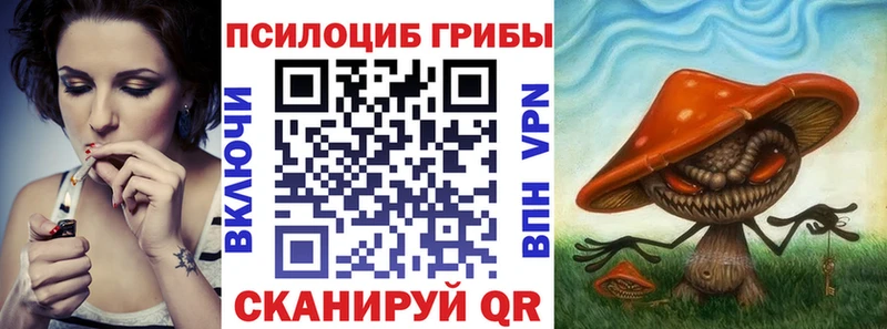 kraken ССЫЛКА что такое наркотик Мончегорск Псилоцибиновые грибы Cubensis